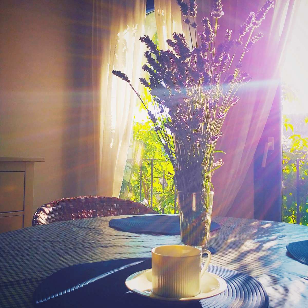 Coffee mug on a table with flowers and sunlight.