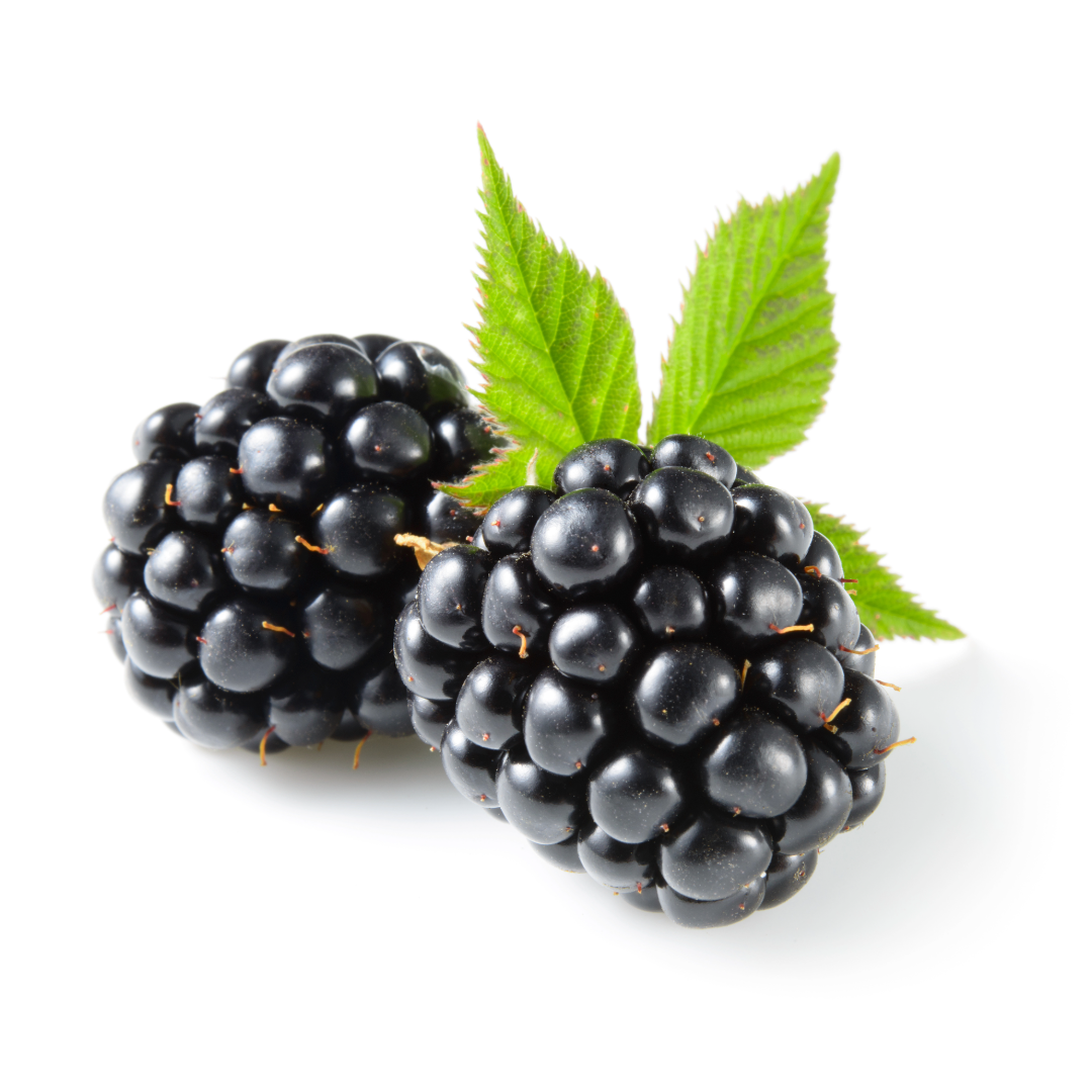 Two black raspberries with green leaves on a white background.