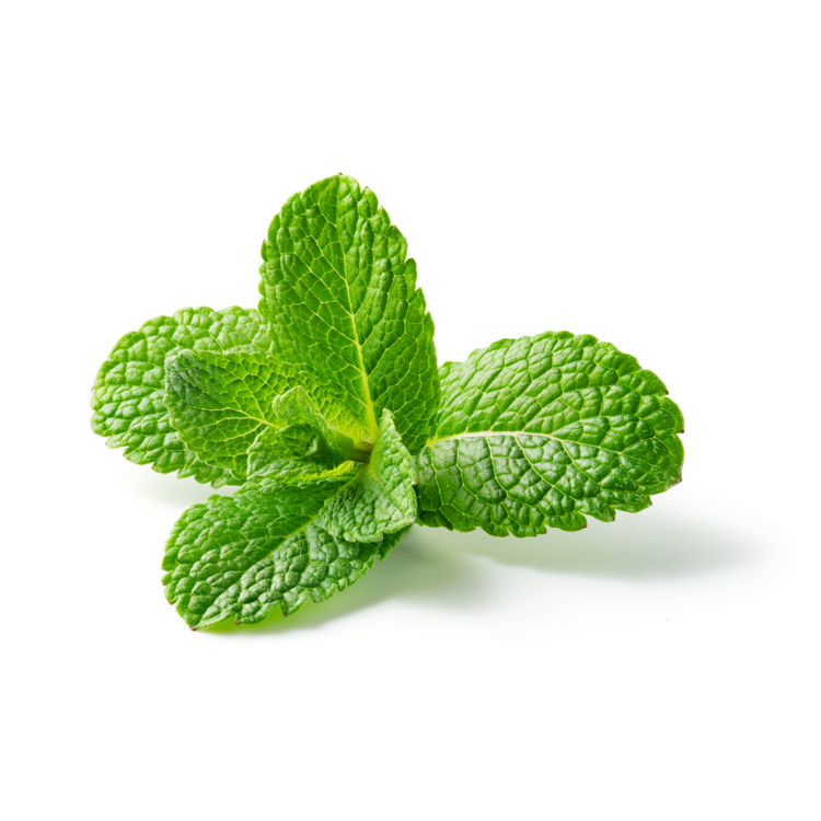 Minty Scent Collection